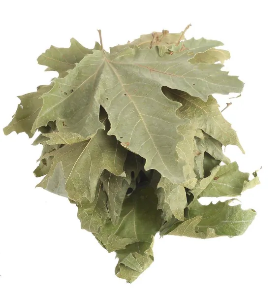 ÇINAR YAPRAĞI