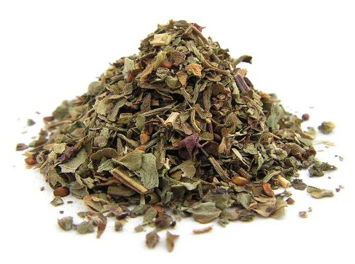 FESLEĞEN