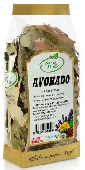 Avokado Yaprağı