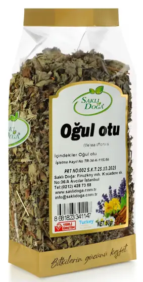 Oğul Otu