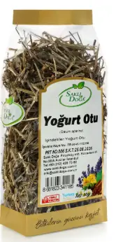 Yoğurt Otu